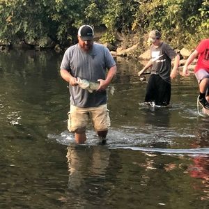 Meet your Posher, Josh